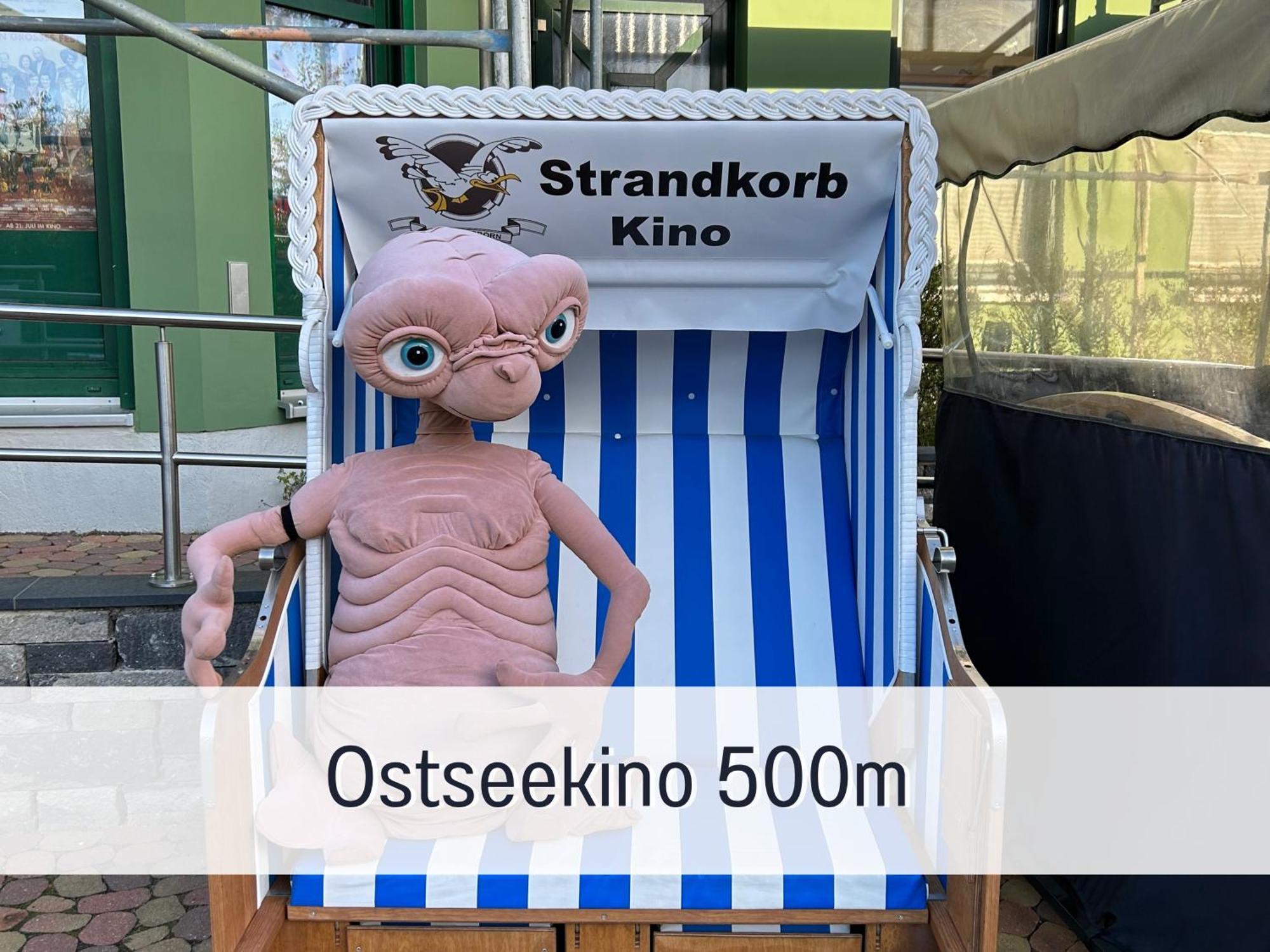 2 Zimmer App Duenengarten Lieblingsplatz Wg11 Ostseebad Kühlungsborn Buitenkant foto